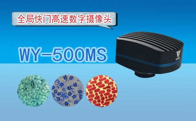 生命科学91精品久色蜜桃二区的观察方式