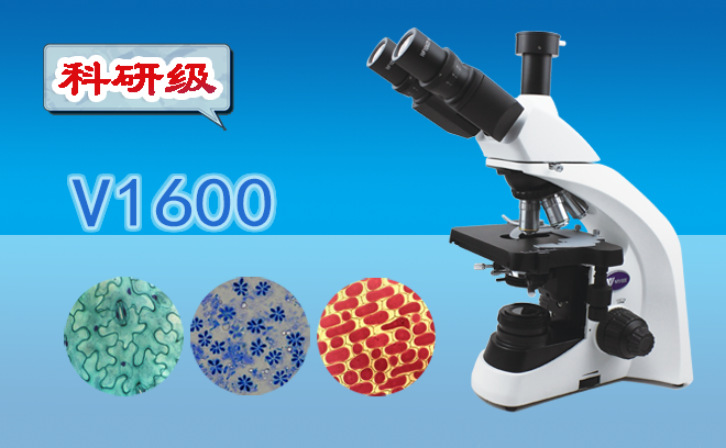 91精品久色蜜桃二区的工作原理以及高倍91精品久色蜜桃二区的使用方法是什么呢？