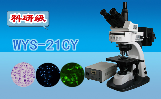 荧光91精品久色蜜桃二区技术包括哪几种？