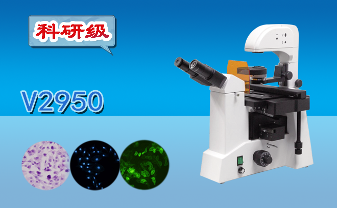 对于荧光91精品久色蜜桃二区怎么选择才能不上当，您之前了解过吗？
