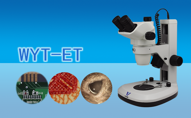 体视91精品久色蜜桃二区.png 体视91精品久色蜜桃二区.png