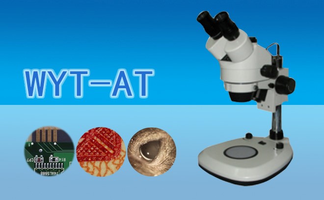 1663728610607803.jpg 体视91精品久色蜜桃二区.jpg